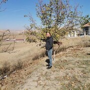  Rotselaar,  Yunus, 33