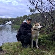 ���������� ������, ���� ������� ����, 37 ���, ������������ ��� ������, ����� � ���������