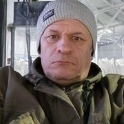  ,  , 44
