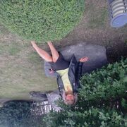 ���������� �������, ���� ������� ���, 50 ���, ������������ ��� ���������