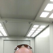 ���������� �������, ���� ������� ����, 42 ����, ������������ ��� ����� � ���������, c�������� ���������