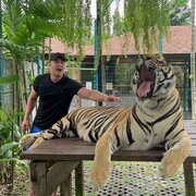  ,   JimmDechamp, 33 ,   ,   