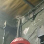 ���������� ����������, ���� ������� ��������, 42 ����, ������������ ��� c�������� ���������