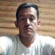 ���������� ������, ���� ������� �����������, 37 ���, ������������ ��� ������, ����� � ���������