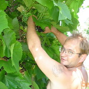 ���������� �����, ���� ������� �������, 50 ���, ������������ ��� ����� � ���������, c�������� ���������