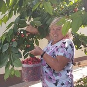  ,   , 65 ,   ,   