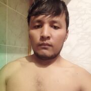 ���������� �������, ���� ������� Sardor, 28 ���, ������������ ��� ������, ����� � ���������