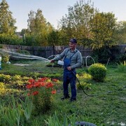 ���������� ����������, ���� ������� ������, 55 ���, ������������ ��� ������, ����� � ���������