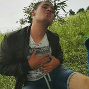  ,   Maks, 33 ,   ,   , c 