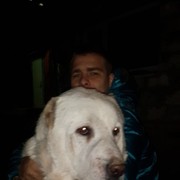 ���������� �����, ���� ������� ���������, 35 ���, ������������ ��� ������, ����� � ���������, c�������� ���������