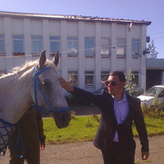  -,   , 36 ,   ,   , c 