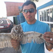  ,   ARTCT, 35 ,  