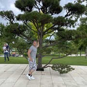  ,   , 39 ,   ,   , c , 