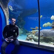 ���������� �������, ���� ������� �����, 27 ���, ������������ ��� ������, ����� � ���������