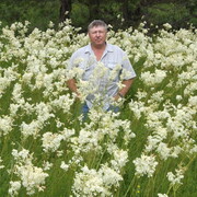 ���������� �������, ���� ������� ������, 65 ���, ������������ 