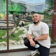 ���������� ������, ���� ������� ���, 32 ����, ������������ ��� ������, ����� � ���������