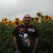 ���������� ������, ���� ������� ������, 50 ���, ������������ ��� ������, ����� � ���������