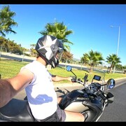 ���������� ������, ���� ������� ����, 38 ���, ������������ ��� ������, ����� � ���������, c�������� ���������