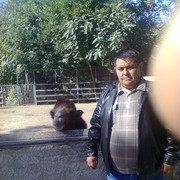  ,   , 46 ,   ,   , c 