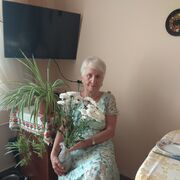 ���� �������� 24.