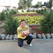  ,     , 41 ,     , c 