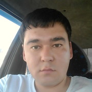  ,   BOHODIR, 36 ,   ,   , c 