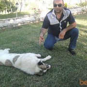 ���������� ����, ���� ������� Sako315, 47 ���, ������������ ��� ������