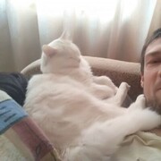  ,   , 38 ,   ,   , c 