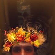 ���������� ����������, ���� ������� �����, 49 ���, ������������ ��� ������, ����� � ���������, c�������� ���������