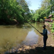 ���������� ������������, ���� ������� �����, 36 ���, ������������ ��� ������, ����� � ���������, c�������� ���������, ���������