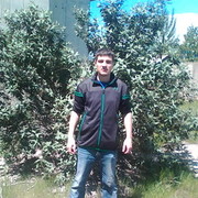 ����,���������