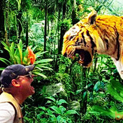 ���������� �����-���������, ���� ������� ������, 62 ����, ������������ ��� ������