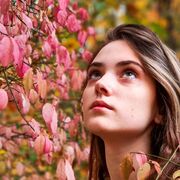 ���������� ������, ���� ������� ����, 25 ���, ������������ ��� ������, ����� � ���������, c�������� ���������