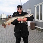 ���������� �����������, ���� ������� �������, 50 ���, ������������ ��� ������, ����� � ���������, c�������� ���������