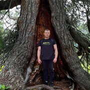 ���������� �����������, ���� ������� ����, 34 ����, ������������ ��� ������, ����� � ���������