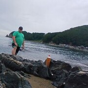  ,   , 37 ,   ,   