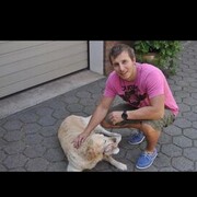  ,   , 33 ,   ,   