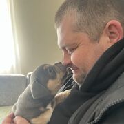 ���������� �����������, ���� ������� �������, 39 ���, ������������ ��� ����� � ���������, c�������� ���������, ���������