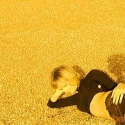 ���������� �����������, ���� ������� ��������, 33 ����, ������������ ��� ������, ����� � ���������, c�������� ���������