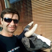 ���������� ���������, ���� ������� ��������, 48 ���, ������������ ��� ������, ����� � ���������, c�������� ���������