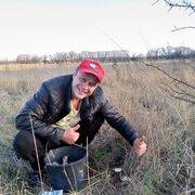 ���������� �����, ���� ������� �����, 43 ����, ������������ ��� ����� � ���������, c�������� ���������