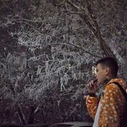 ���������� �����������-��-�����, ���� ����� �������, 23 ����, ������������ 