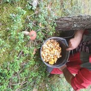 ���������� �����, ���� ������� �������, 53 ����, ������������ ��� ������, ����� � ���������, c�������� ���������