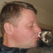 ���������� ���������, ���� ������� �����, 52 ����, ������������ ��� ������, ����� � ���������, c�������� ���������