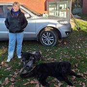 ���������� �����-���������, ���� ������� �����, 66 ���, ������������ ��� c�������� ���������