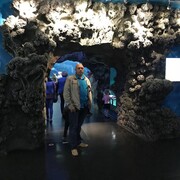  ,   , 44 ,   ,   , c 