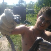 ���������� ������ ��������, ���� ������� ������, 36 ���, ������������ ��� ������, ����� � ���������, c�������� ���������