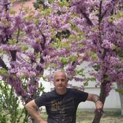  ,   , 55 ,     , c , 