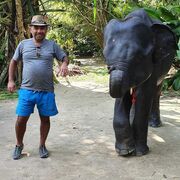  ,   , 40 ,   ,   
