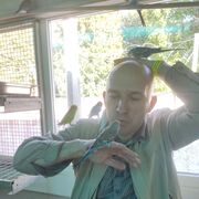 ���������� �����, ���� ������� �������, 43 ����, ������������ ��� ����� � ���������, c�������� ���������